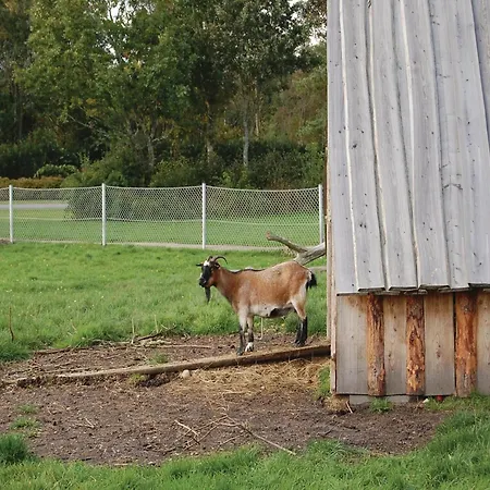 Blomstervangen Ii Dnmk *